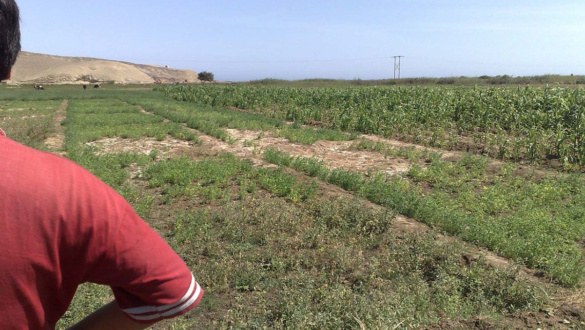 a-talaj-nem-csak-por-az-eletunk-alapja