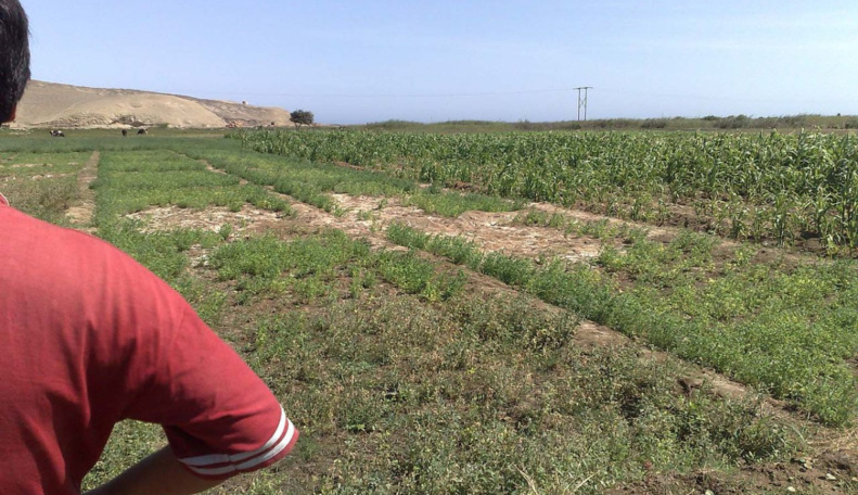 a-talaj-nem-csak-por-az-eletunk-alapja