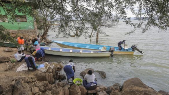 afrika-valasza-az-eghajlatvaltozasra