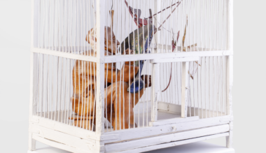 kulonleges-kiallitas-ko-pal-a-szarnykeszito