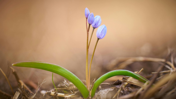 az-elegendo-kulturaja-het-nap-het-gondolat