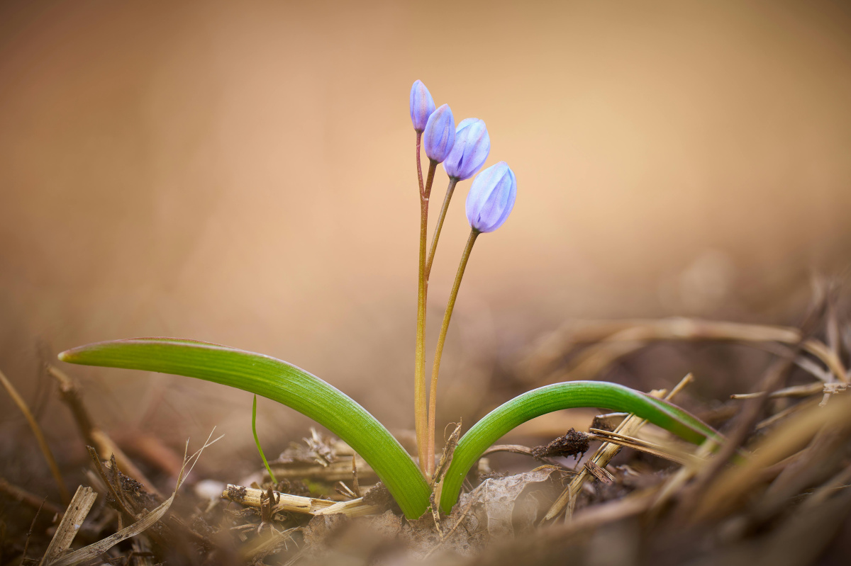 az-elegendo-kulturaja-het-nap-het-gondolat